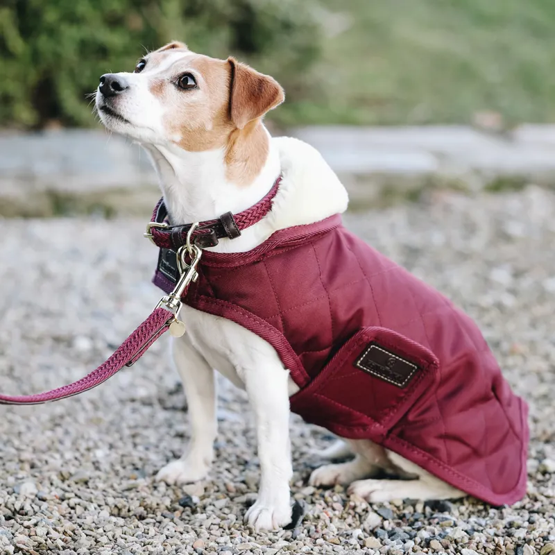 Kentucky Original Dog Coat - Bordeaux