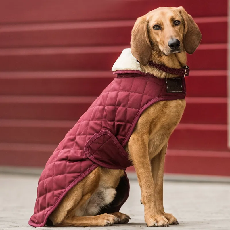 Kentucky Original Dog Coat - Bordeaux