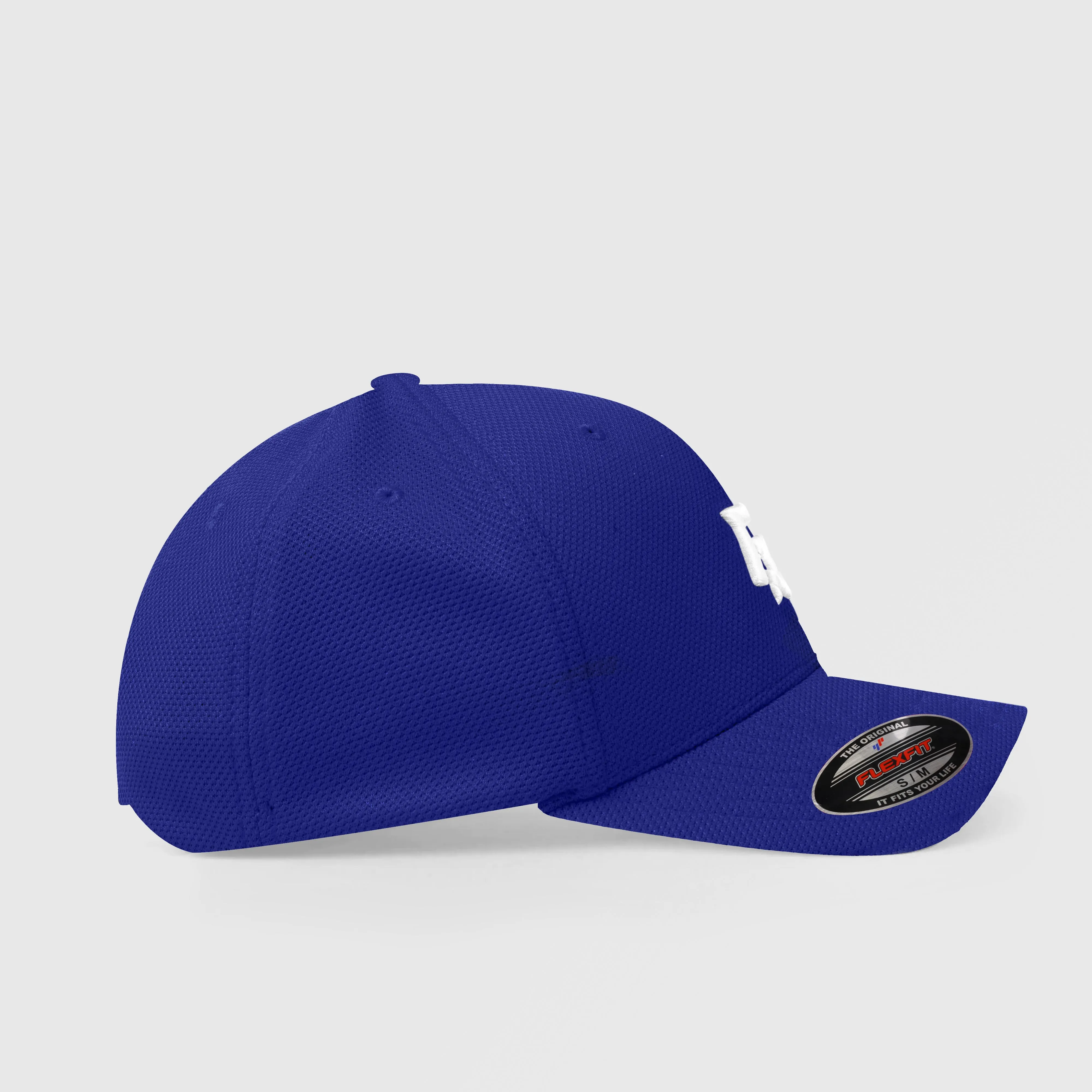 Pro Profile Logo Cap (Blue)