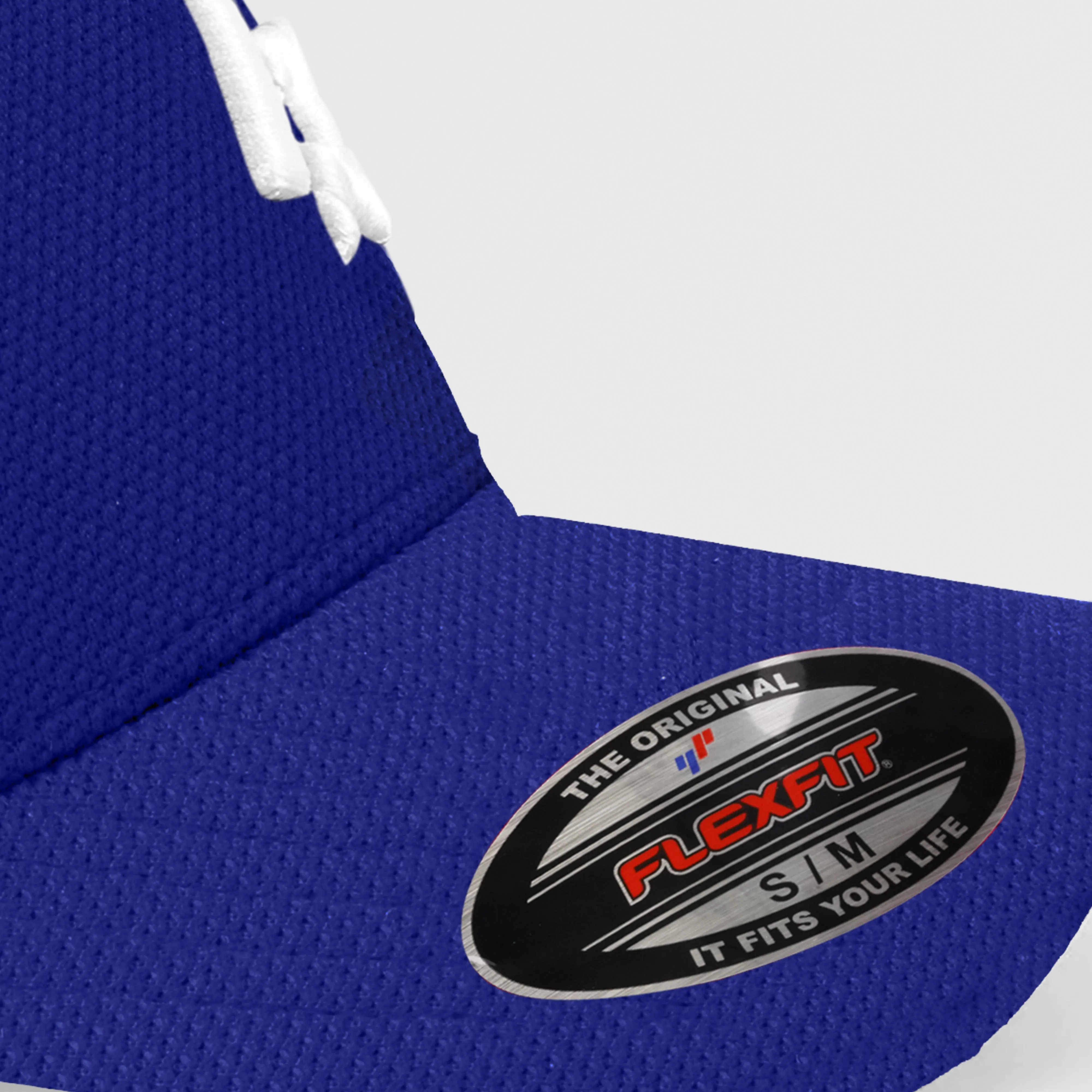 Pro Profile Logo Cap (Blue)